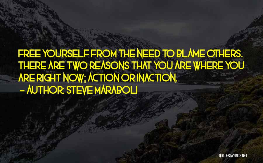 Inaction Action Quotes By Steve Maraboli