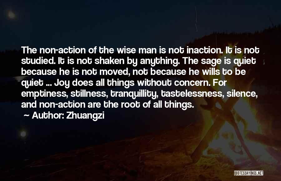 Inaction Quotes By Zhuangzi