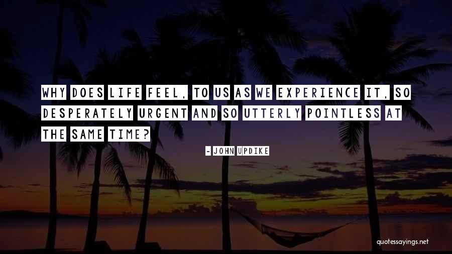Inactivated Virus Quotes By John Updike Inactivated Virus Quotes By John Updike