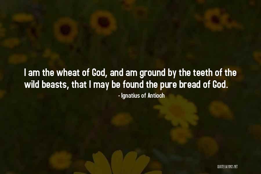 Inactividad Paranormal Pelicula Quotes By Ignatius Of Antioch Inactividad Paranormal Pelicula Quotes By Ignatius Of Antioch