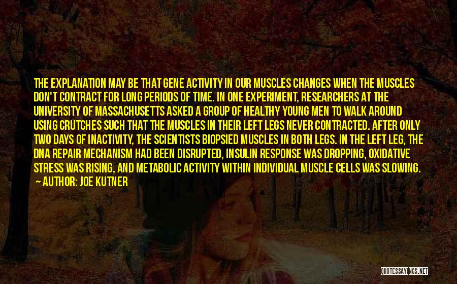 Inactivity Quotes By Joe Kutner
