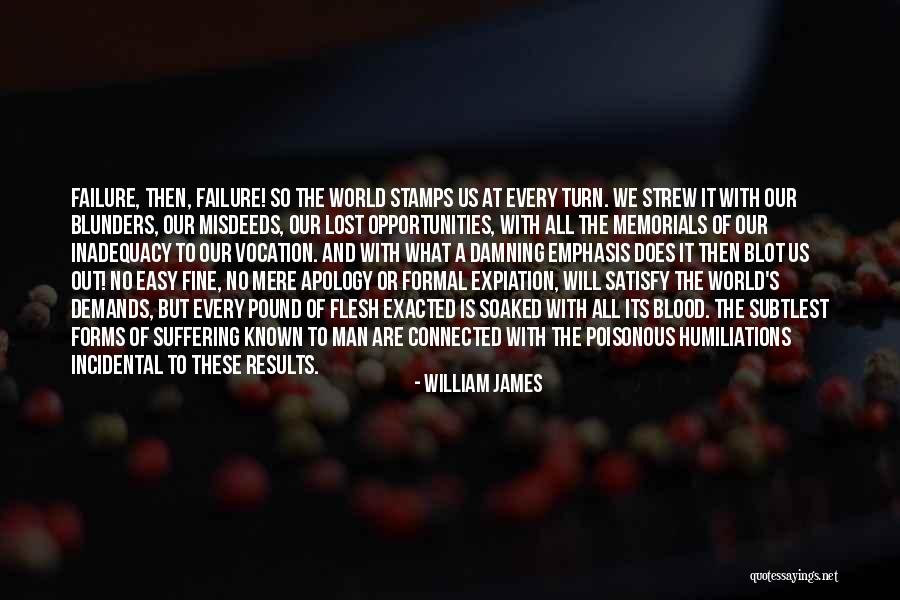 Inadequacy Quotes By William James