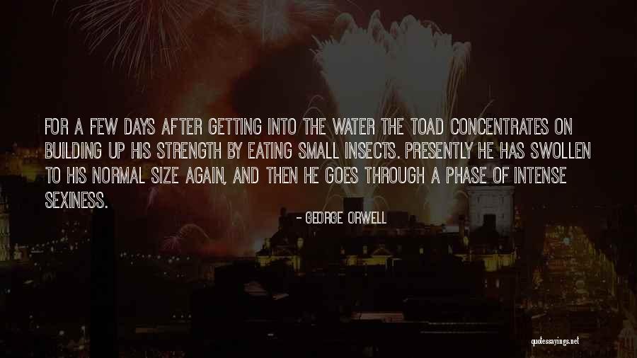 Inagawa Fireworks Quotes By George Orwell Inagawa Fireworks Quotes By George Orwell
