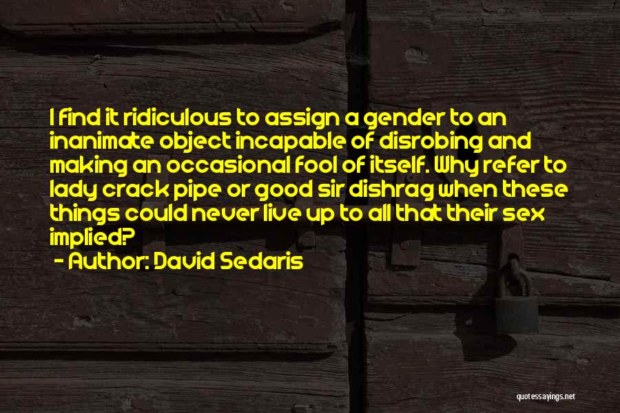 Inanimate Object Quotes By David Sedaris