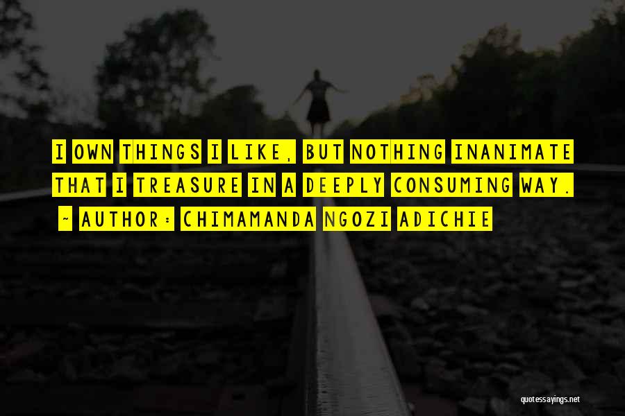 Inanimate Quotes By Chimamanda Ngozi Adichie