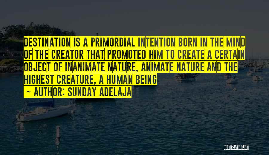 Inanimate Quotes By Sunday Adelaja