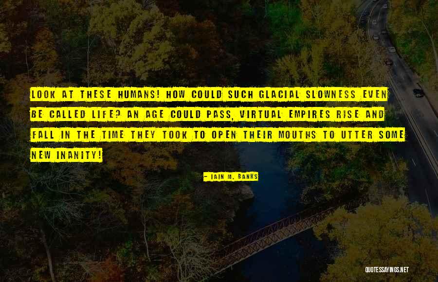 Inanity Quotes By Iain M. Banks Inanity Quotes By Iain M. Banks