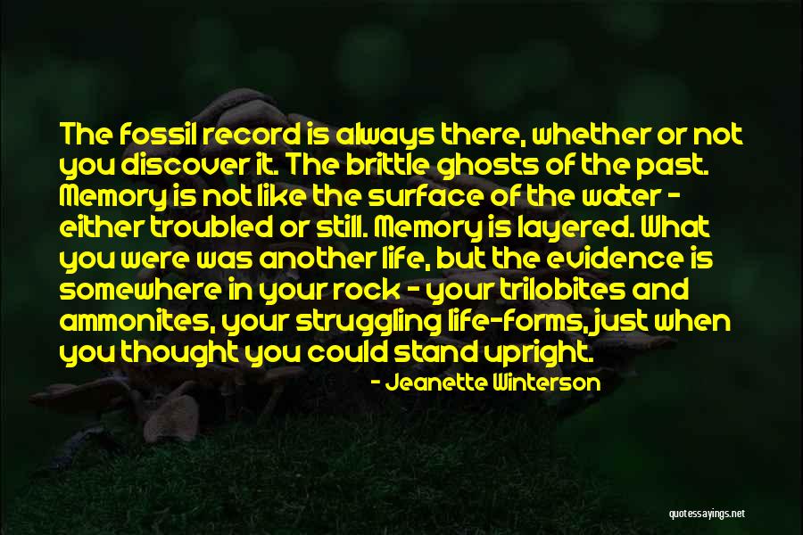 Inapetente En Quotes By Jeanette Winterson Inapetente En Quotes By Jeanette Winterson