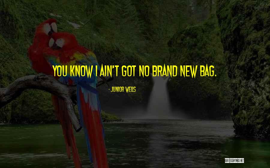 Inasible Definicion Quotes By Junior Wells Inasible Definicion Quotes By Junior Wells