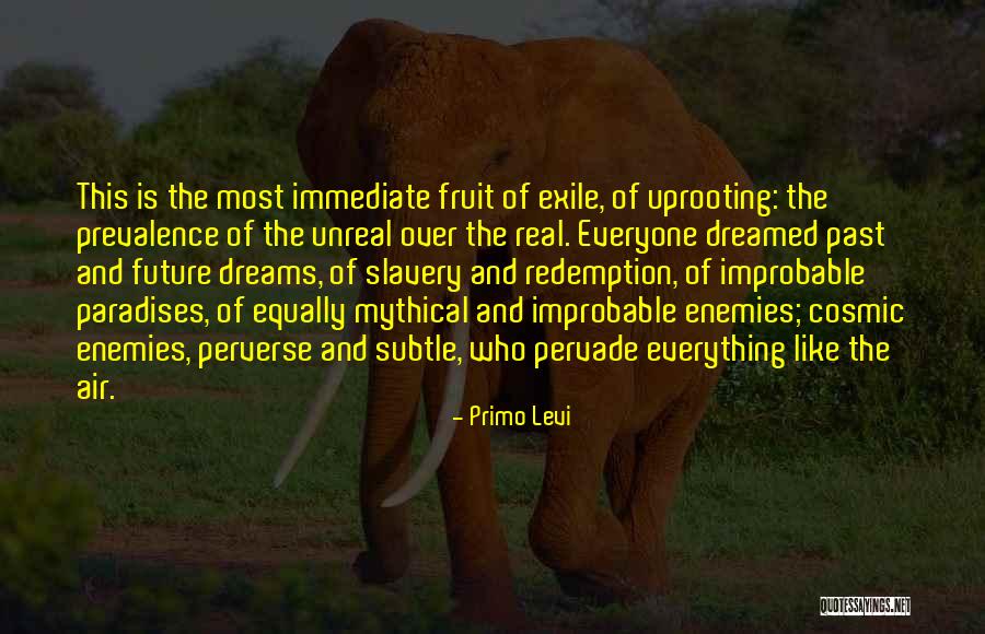 Inatasan Quotes By Primo Levi Inatasan Quotes By Primo Levi