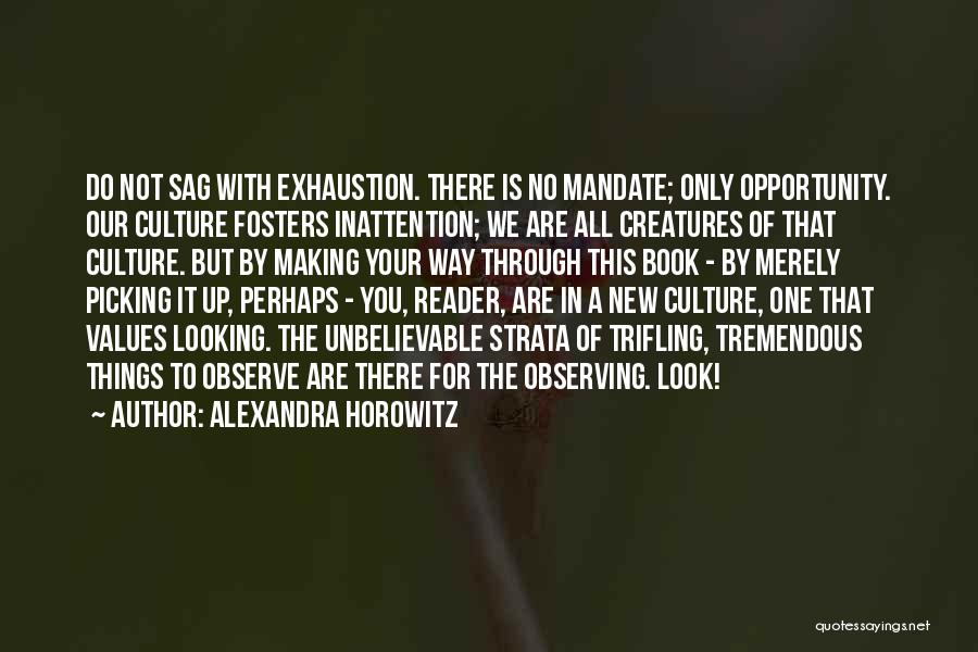 Inattention Quotes By Alexandra Horowitz
