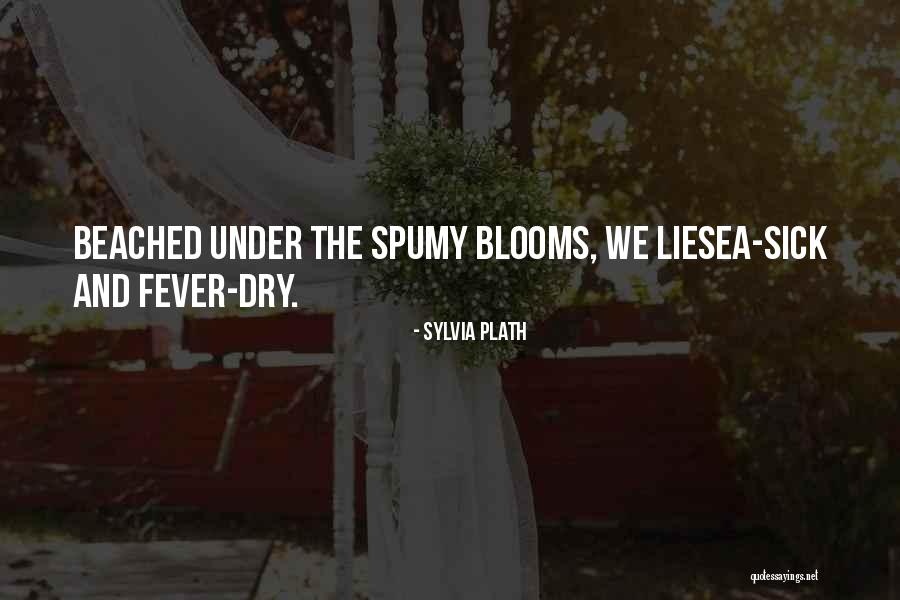 Incantation Bowl Quotes By Sylvia Plath Incantation Bowl Quotes By Sylvia Plath