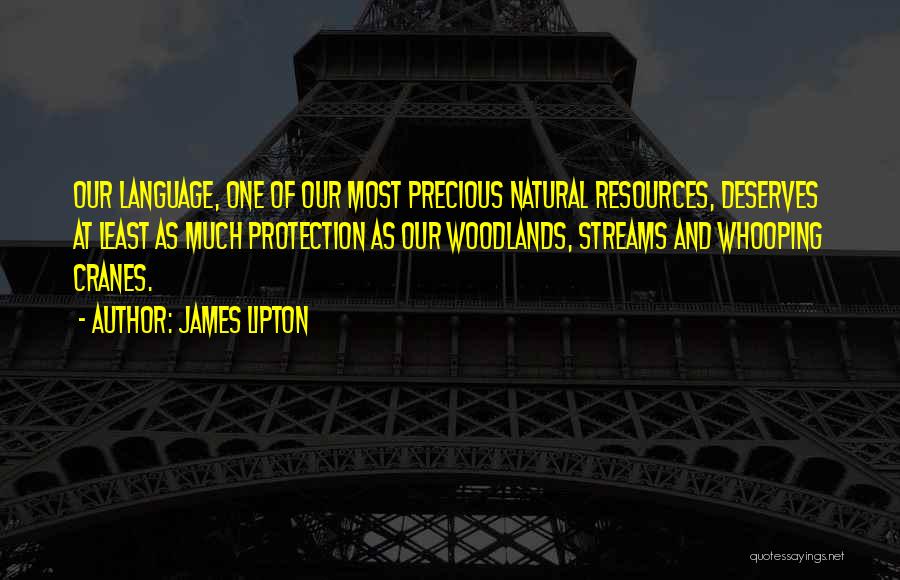 Incantico Quotes By James Lipton