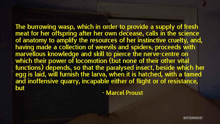 Incapable Or Incapable Quotes By Marcel Proust Incapable Or Incapable Quotes By Marcel Proust