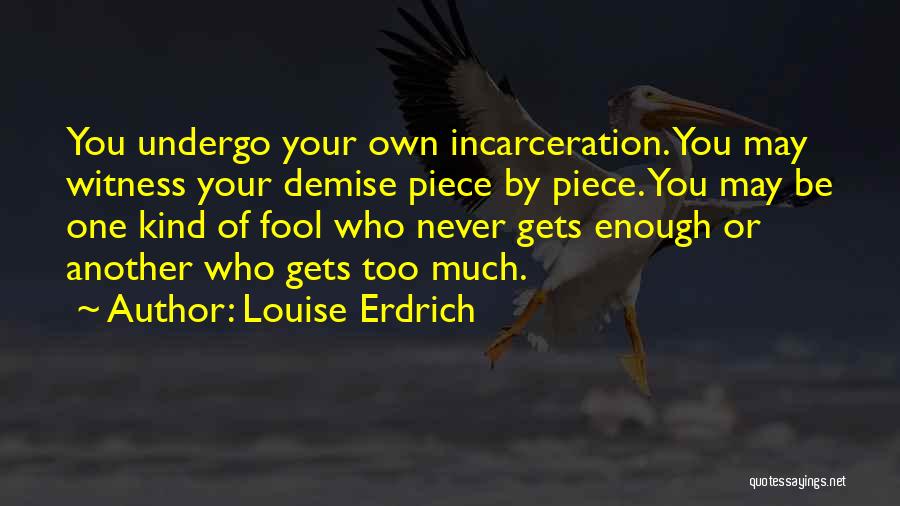 Incarceration Quotes By Louise Erdrich