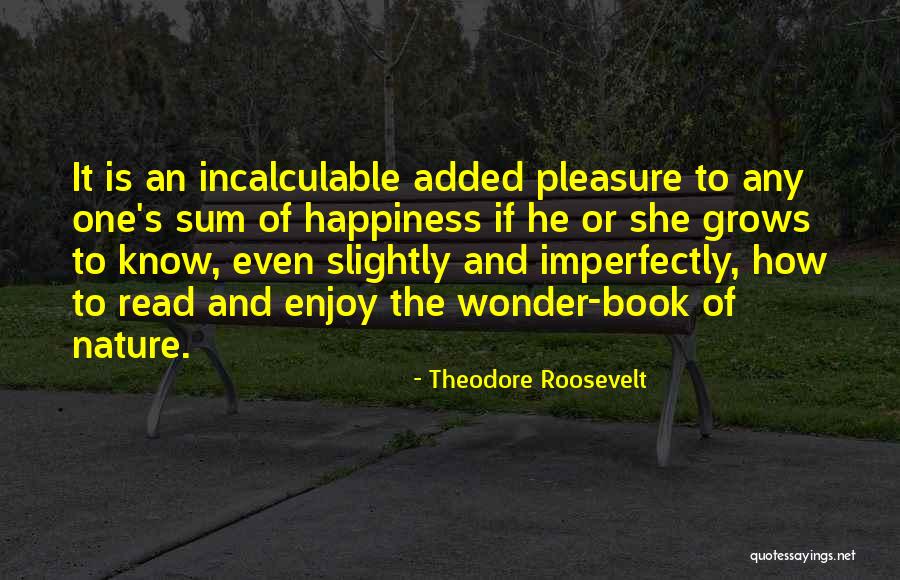 Incarnating Soul Quotes By Theodore Roosevelt Incarnating Soul Quotes By Theodore Roosevelt