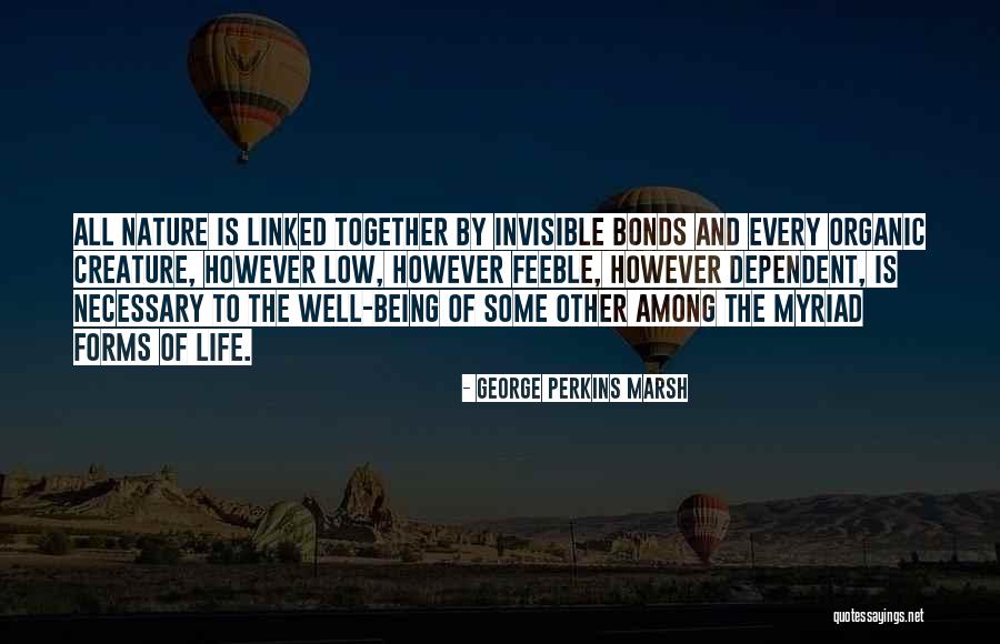 Incecik Beli Quotes By George Perkins Marsh