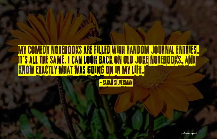 Incendiaries Film Quotes By Sarah Silverman Incendiaries Film Quotes By Sarah Silverman