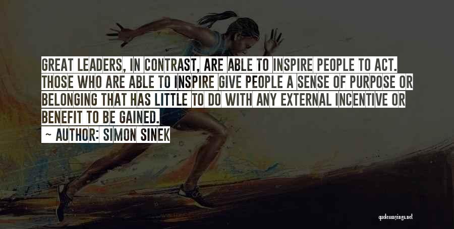 Incentive Quotes By Simon Sinek