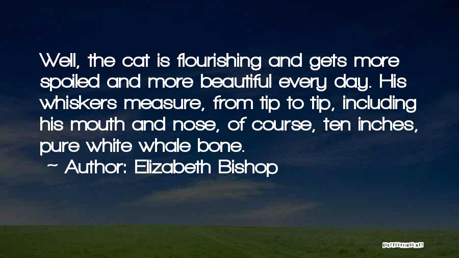 Inches Quotes By Elizabeth Bishop