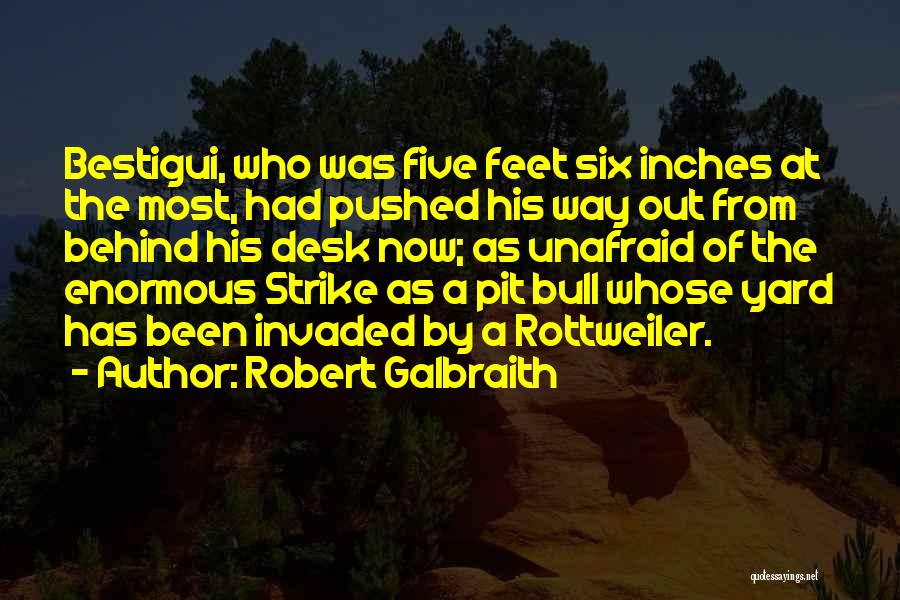 Inches Quotes By Robert Galbraith