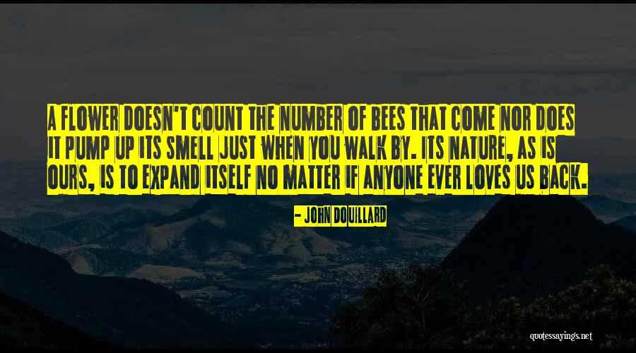 Inchiriat Excavator Quotes By John Douillard Inchiriat Excavator Quotes By John Douillard