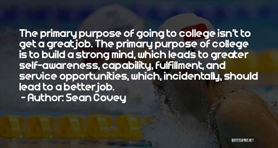 Incidentally Quotes By Sean Covey