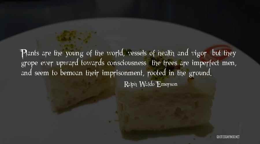Incidentals Spongebob Quotes By Ralph Waldo Emerson Incidentals Spongebob Quotes By Ralph Waldo Emerson
