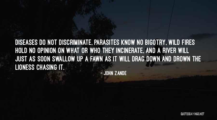 Incinerate Quotes By John Zande Incinerate Quotes By John Zande