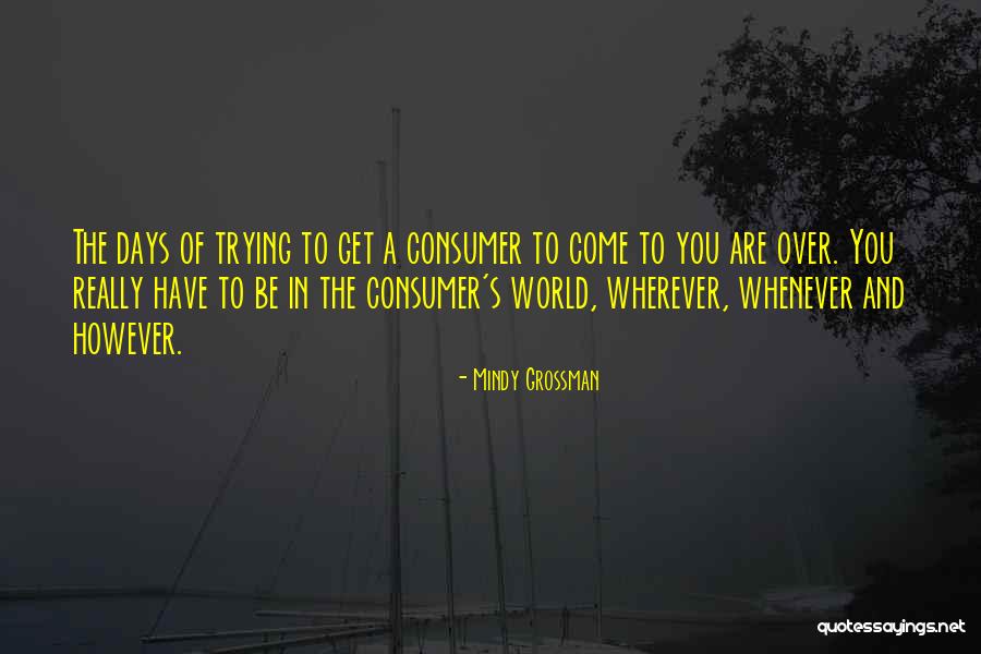 Incinerators China Quotes By Mindy Grossman Incinerators China Quotes By Mindy Grossman