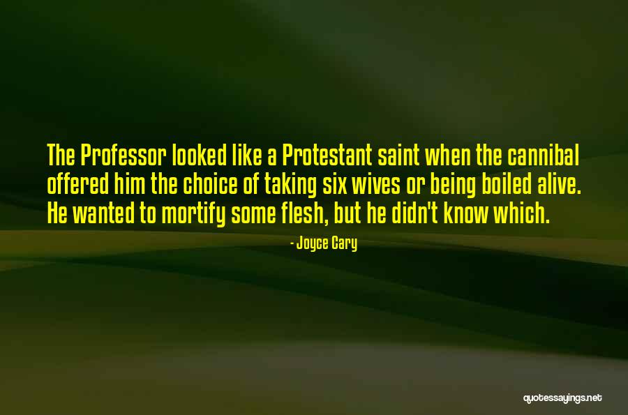 Incitamento Quotes By Joyce Cary Incitamento Quotes By Joyce Cary