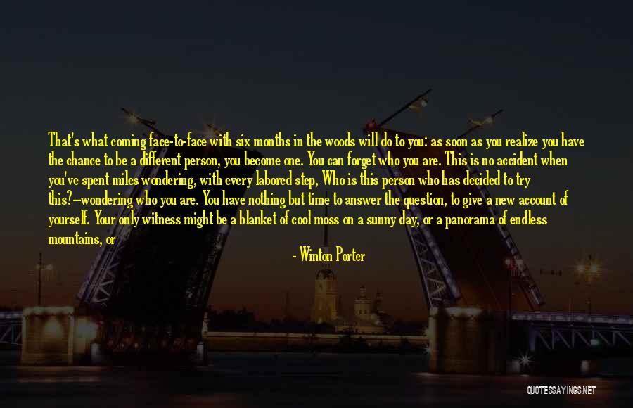 Incitar Quotes By Winton Porter Incitar Quotes By Winton Porter