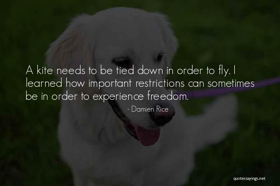Incledon Secunda Quotes By Damien Rice Incledon Secunda Quotes By Damien Rice