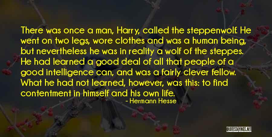 Inclinar Dibujos Quotes By Hermann Hesse Inclinar Dibujos Quotes By Hermann Hesse