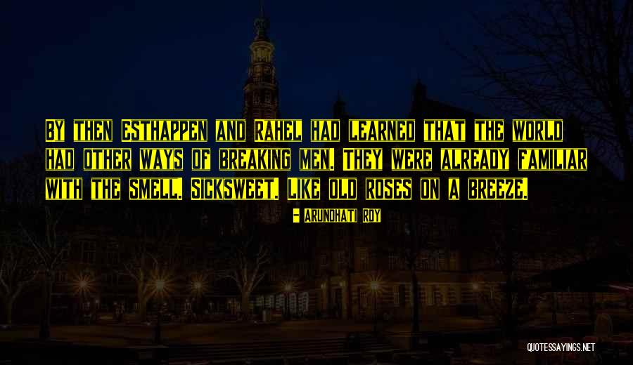 Included In Word Count Quotes By Arundhati Roy Included In Word Count Quotes By Arundhati Roy