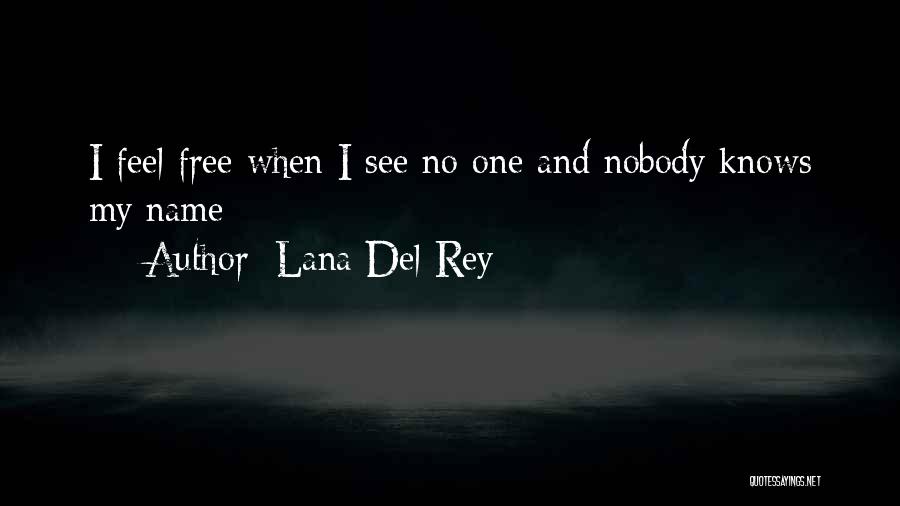 Incognito Quotes By Lana Del Rey