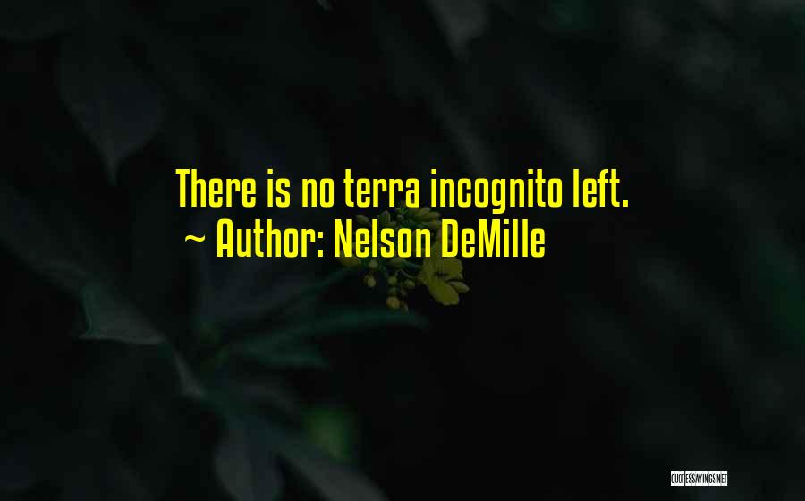 Incognito Quotes By Nelson DeMille