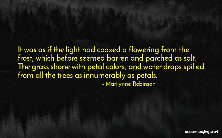 Incognizant Synonyms Quotes By Marilynne Robinson Incognizant Synonyms Quotes By Marilynne Robinson