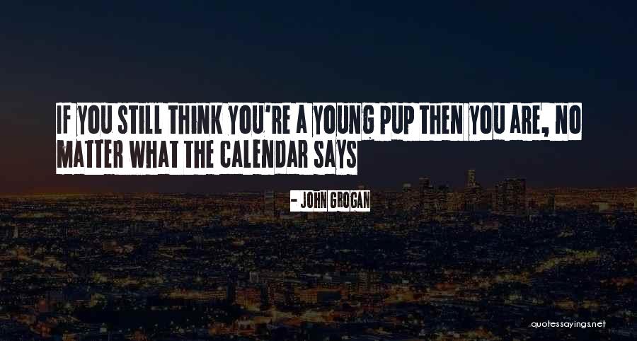 Incoherently Quotes By John Grogan Incoherently Quotes By John Grogan