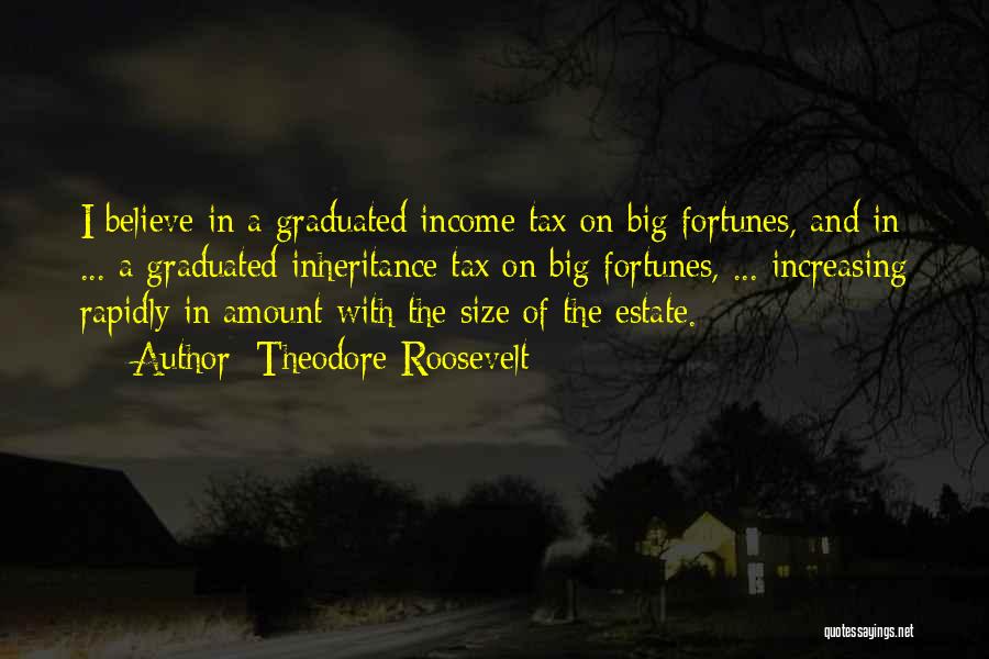 Income Tax Quotes By Theodore Roosevelt