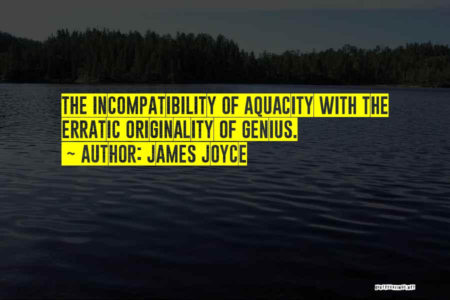 Incompatibility Quotes By James Joyce