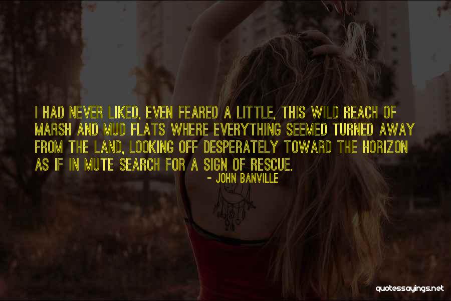 Incompatibles Quotes By John Banville Incompatibles Quotes By John Banville