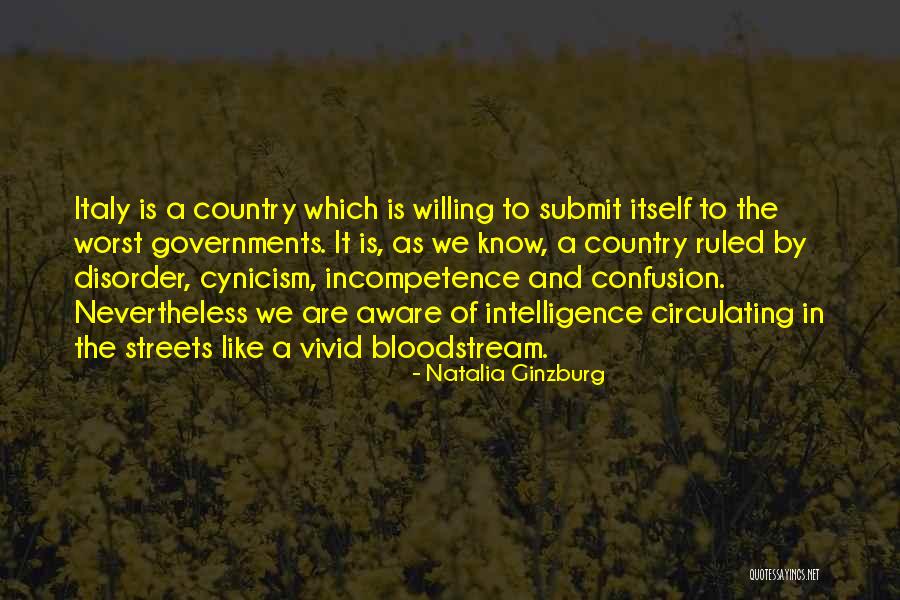 Incompetence Quotes By Natalia Ginzburg