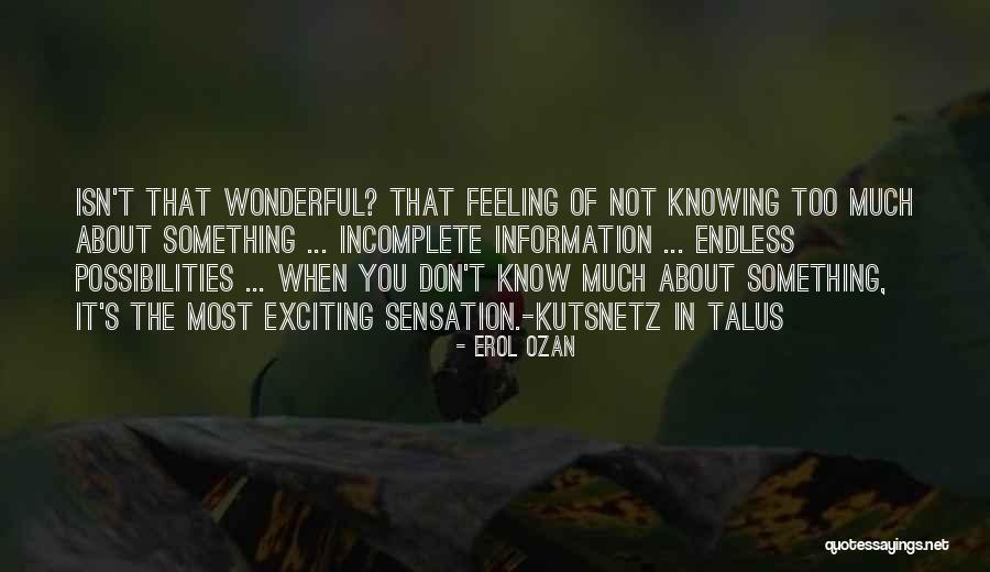 Incomplete Information Quotes By Erol Ozan Incomplete Information Quotes By Erol Ozan