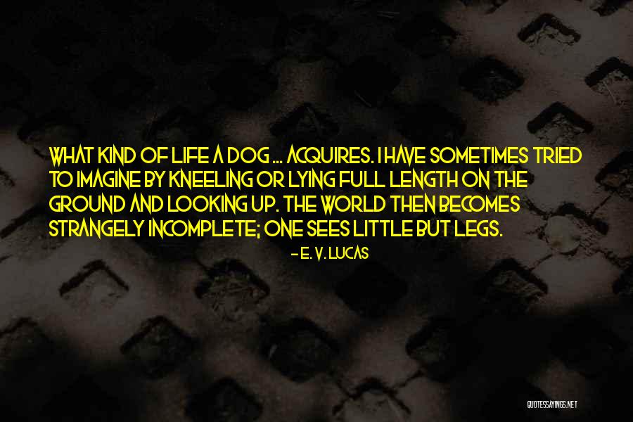 Incomplete Life Quotes By E. V. Lucas Incomplete Life Quotes By E. V. Lucas
