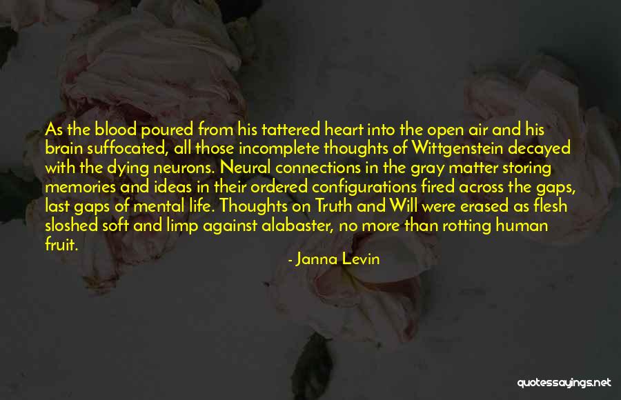 Incomplete Life Quotes By Janna Levin Incomplete Life Quotes By Janna Levin