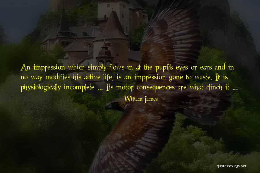 Incomplete Life Quotes By William James Incomplete Life Quotes By William James