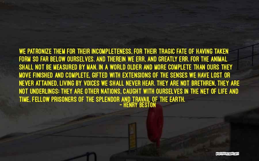 Incompleteness In Life Quotes By Henry Beston Incompleteness In Life Quotes By Henry Beston