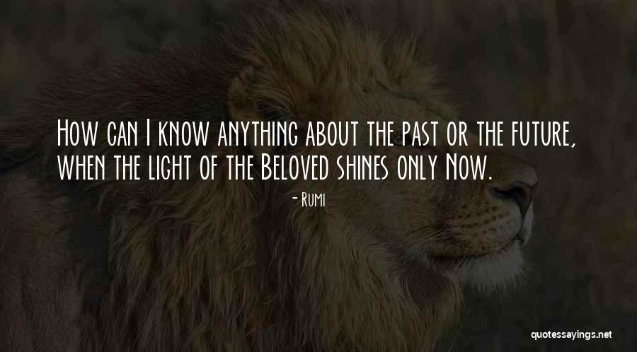 Incompleteness Syn Quotes By Rumi Incompleteness Syn Quotes By Rumi