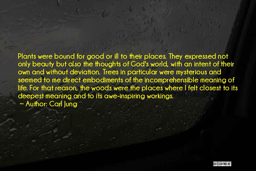 Incomprehensible Quotes By Carl Jung